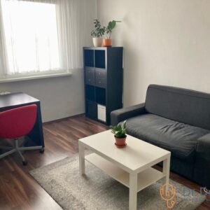 NA PRENÁJOM ÚTULNÝ 1-IZBOVÝ BYT, ČIASTOČNÁ REK., KAROLA ADLERA, BRATISLAVA - DÚBRAVKA